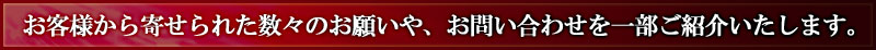 ql񂹂ꂽX̂肢A₢킹ꕔЉ܂B